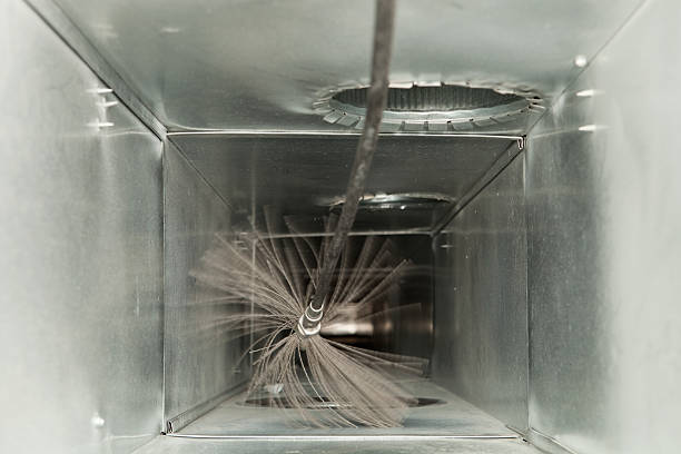 Best Air Duct Mold Removal  in Pemberwick, CT