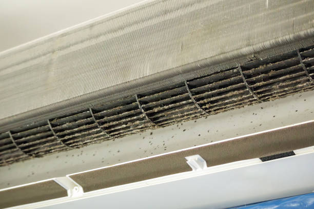 Best HVAC Air Duct Cleaning  in Pemberwick, CT